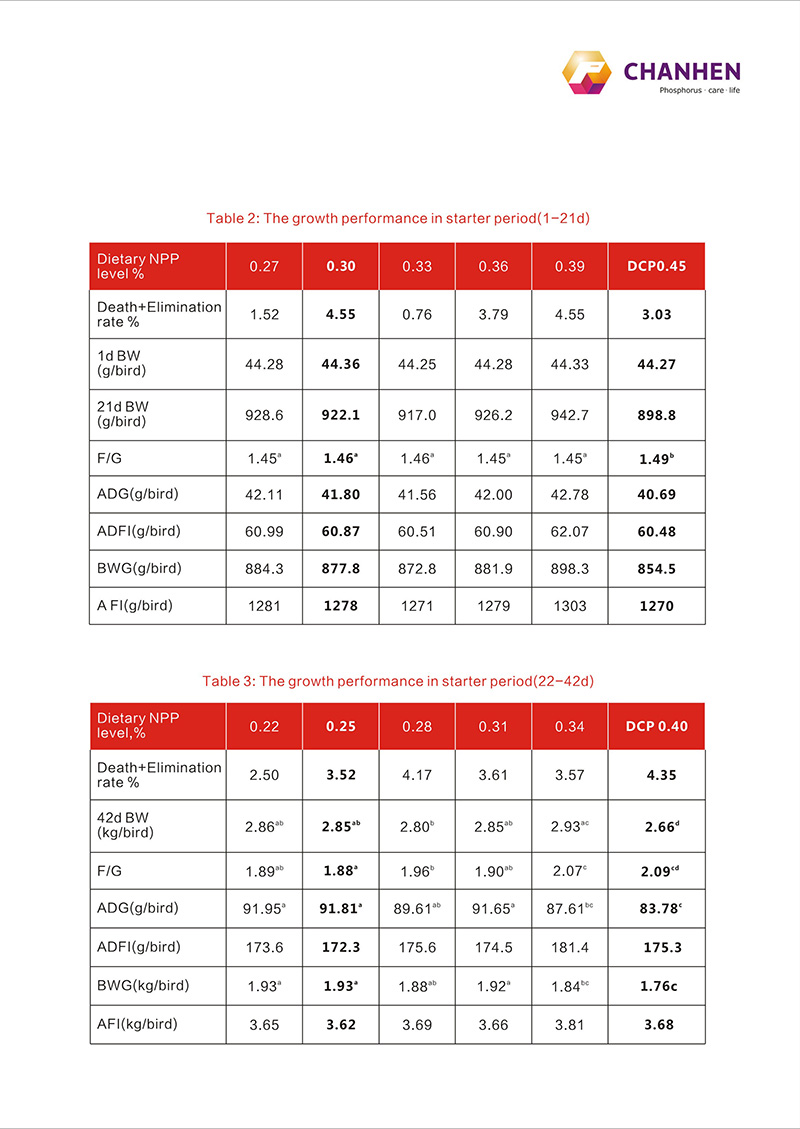 MCP����Ӣ����ҳ��վ��2